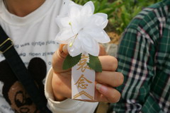 九游会·J9 - 中国官方网站 | 真人游戏第一品牌