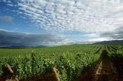 九游会·J9 - 中国官方网站 | 真人游戏第一品牌