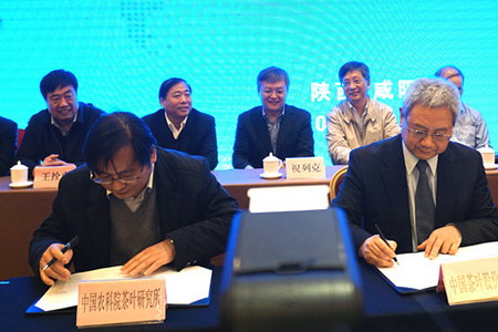 九游会·J9 - 中国官方网站 | 真人游戏第一品牌