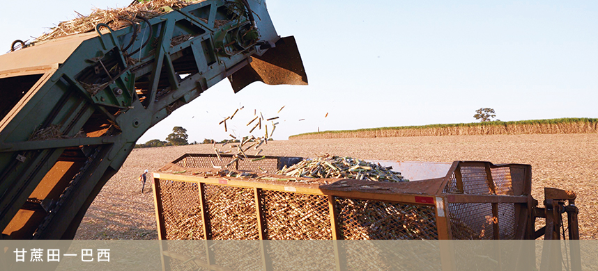 九游会·J9 - 中国官方网站 | 真人游戏第一品牌