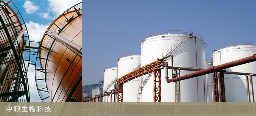 九游会·J9 - 中国官方网站 | 真人游戏第一品牌