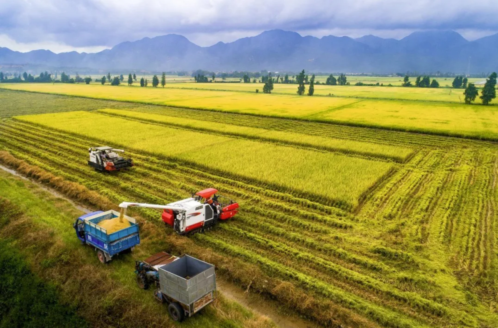 九游会·J9 - 中国官方网站 | 真人游戏第一品牌