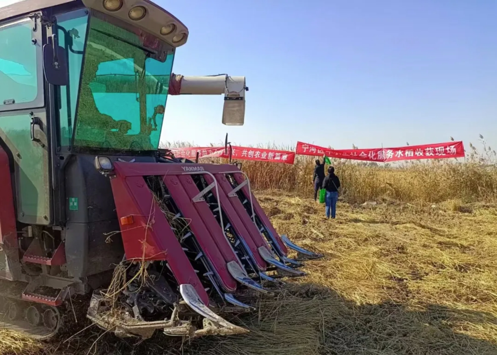 九游会·J9 - 中国官方网站 | 真人游戏第一品牌