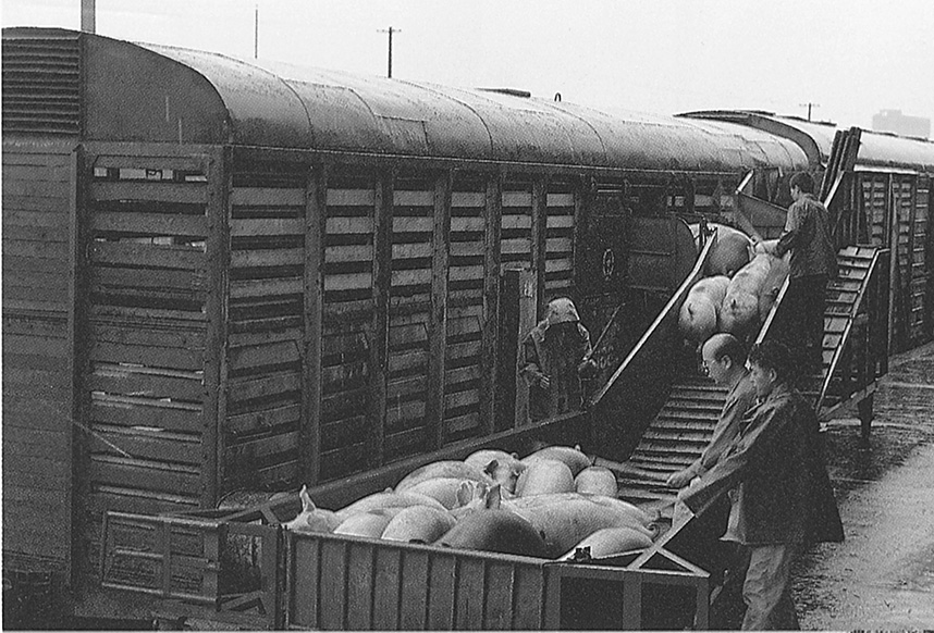 九游会·J9 - 中国官方网站 | 真人游戏第一品牌