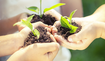 九游会·J9 - 中国官方网站 | 真人游戏第一品牌