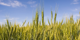 九游会·J9 - 中国官方网站 | 真人游戏第一品牌