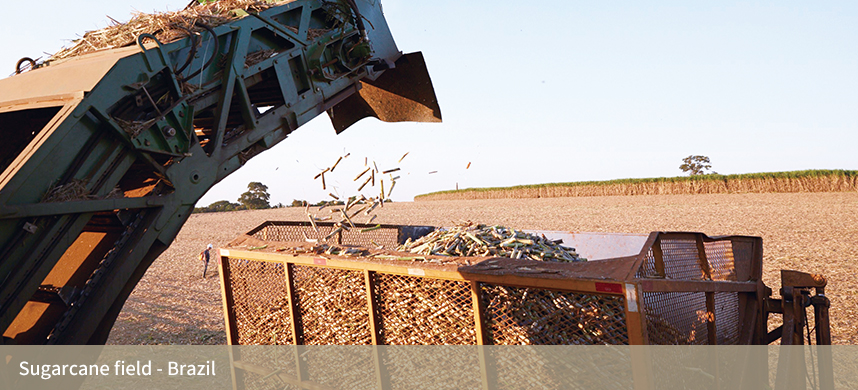 九游会·J9 - 中国官方网站 | 真人游戏第一品牌