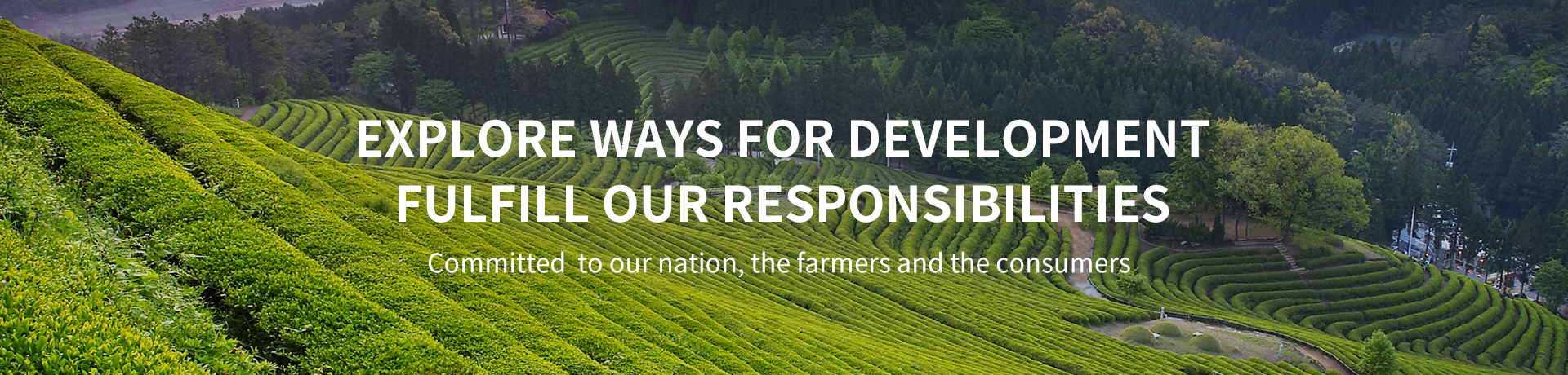 九游会·J9 - 中国官方网站 | 真人游戏第一品牌