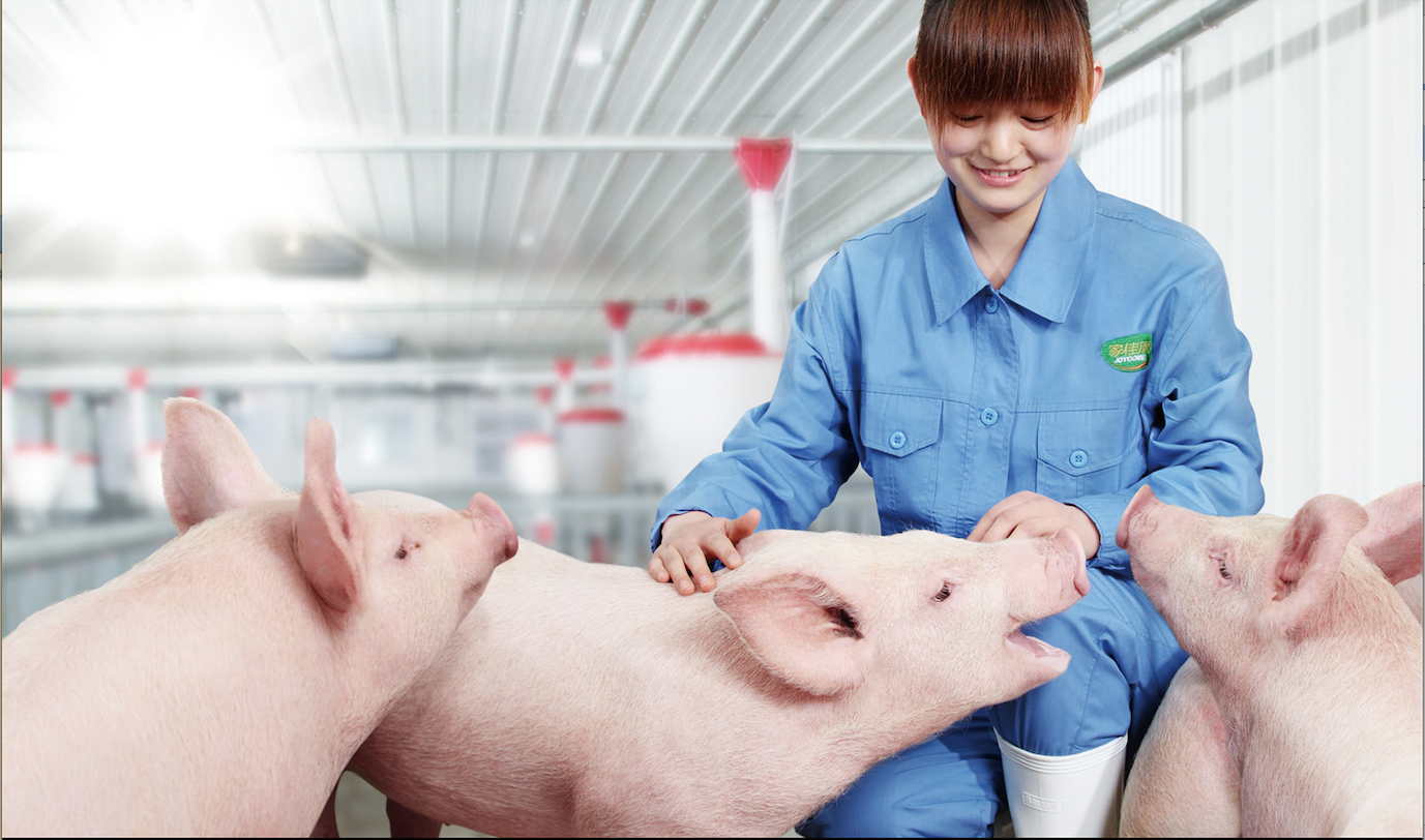 九游会·J9 - 中国官方网站 | 真人游戏第一品牌