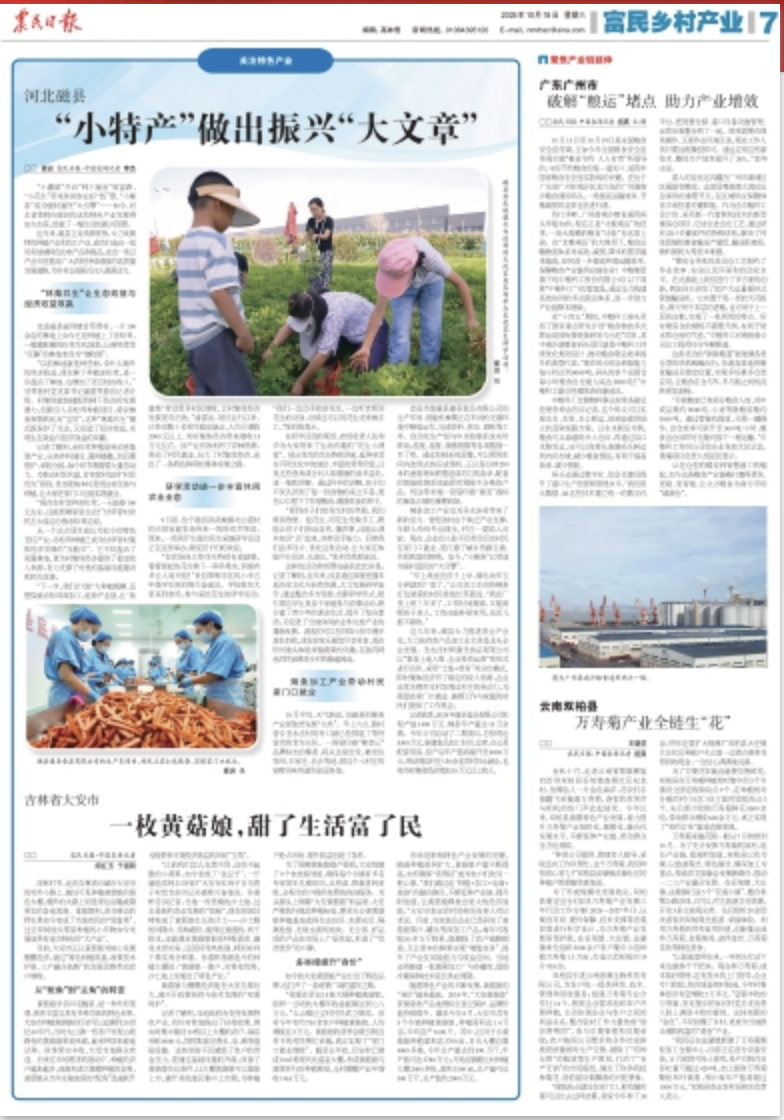 17609243612481879_784x1120